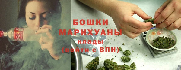 винт Сосновый Бор