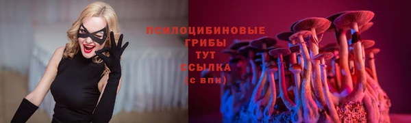 МДПВ Сосновоборск