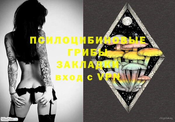 спайс Новозыбков