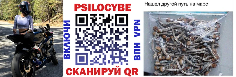 Галлюциногенные грибы мухоморы  Кинель 