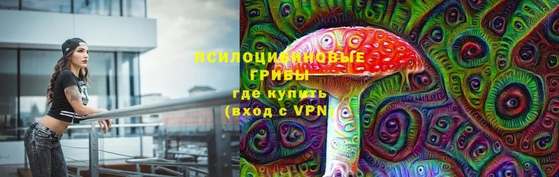 сколько стоит  blacksprut онион  Галлюциногенные грибы мицелий  Кинель 