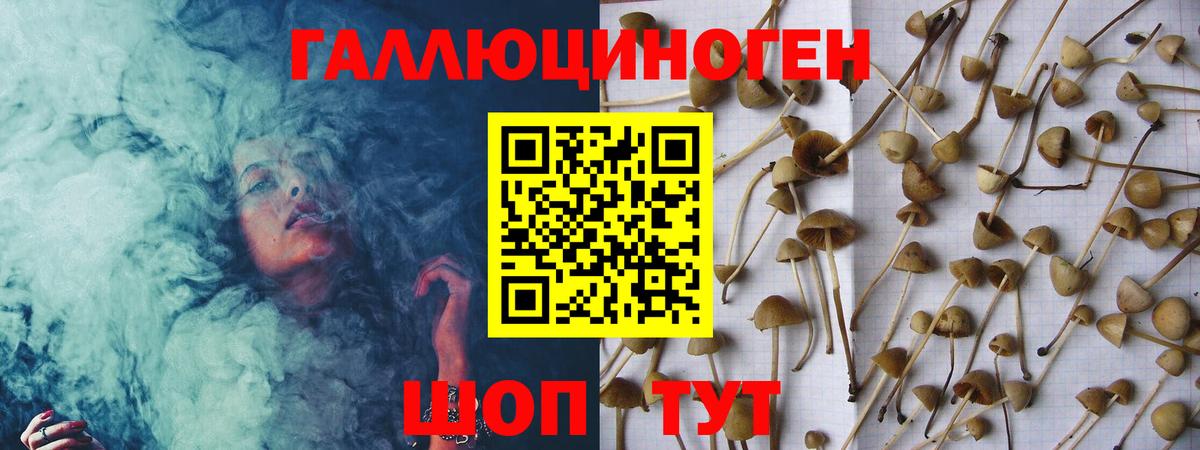 Псилоцибиновые грибы MAGIC MUSHROOMS Кинель