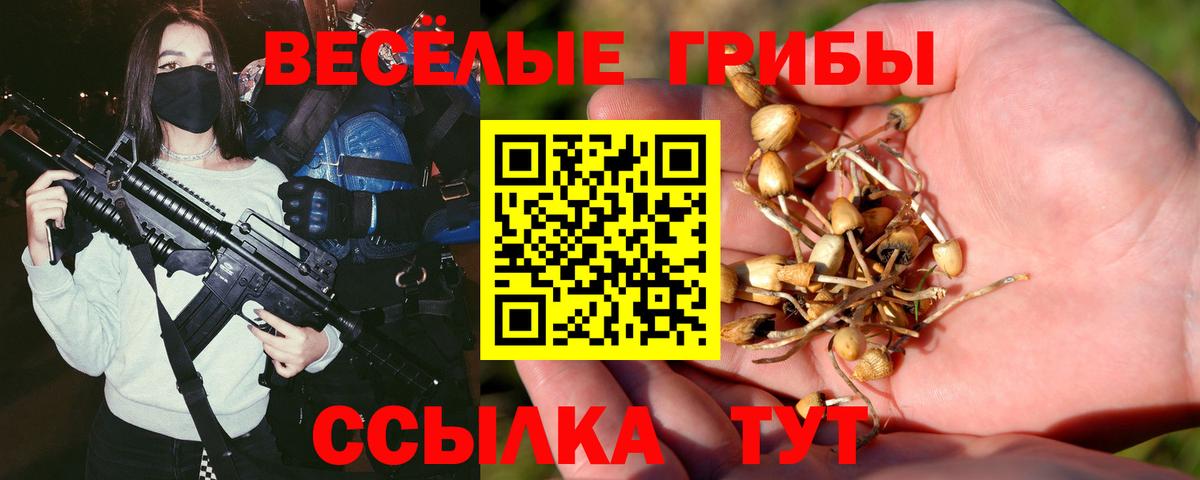 Галлюциногенные грибы мицелий  Вход с VPN  Кинель 