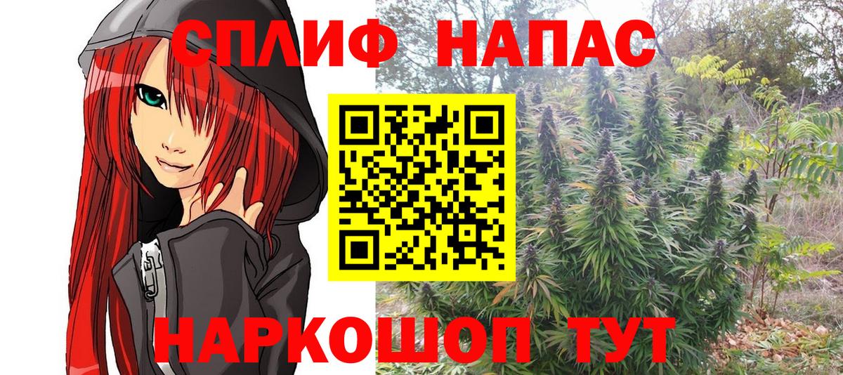 Каннабис конопля  Вход с VPN  Кинель  Бошки Шишки гибрид  Конопля тримм 
